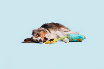 BARK Funflower Seeds Rope Toy