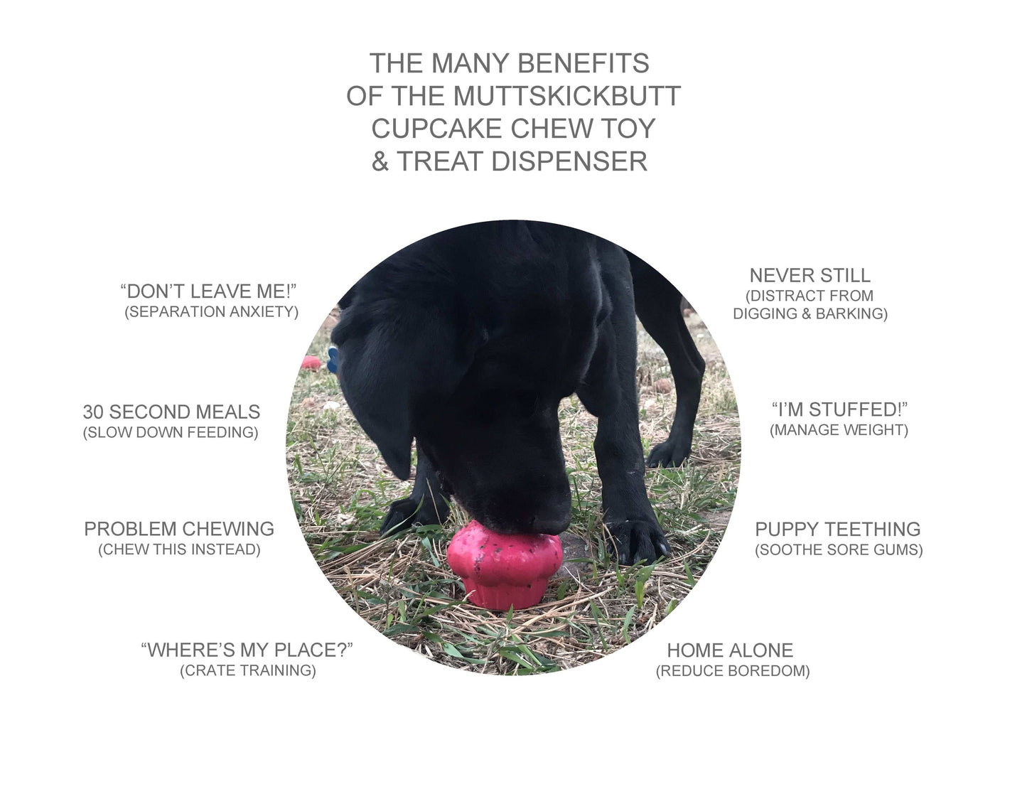 Cupcake Rubber Chew Toy & Treat Dispenser - Pink