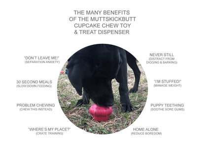 Cupcake Rubber Chew Toy & Treat Dispenser - Pink