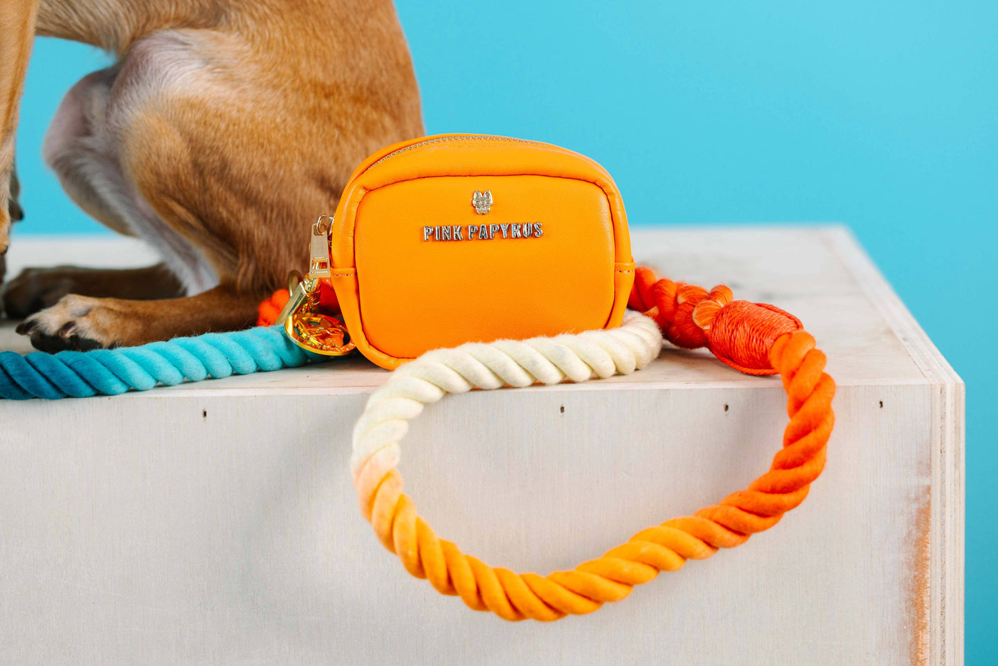 Beau Rope Dog Leash | Blue Orange