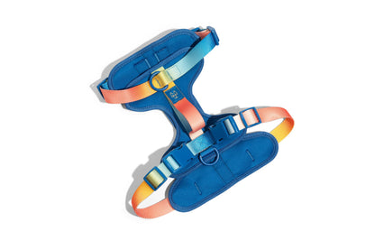 Atlas Dog Harness | Blue