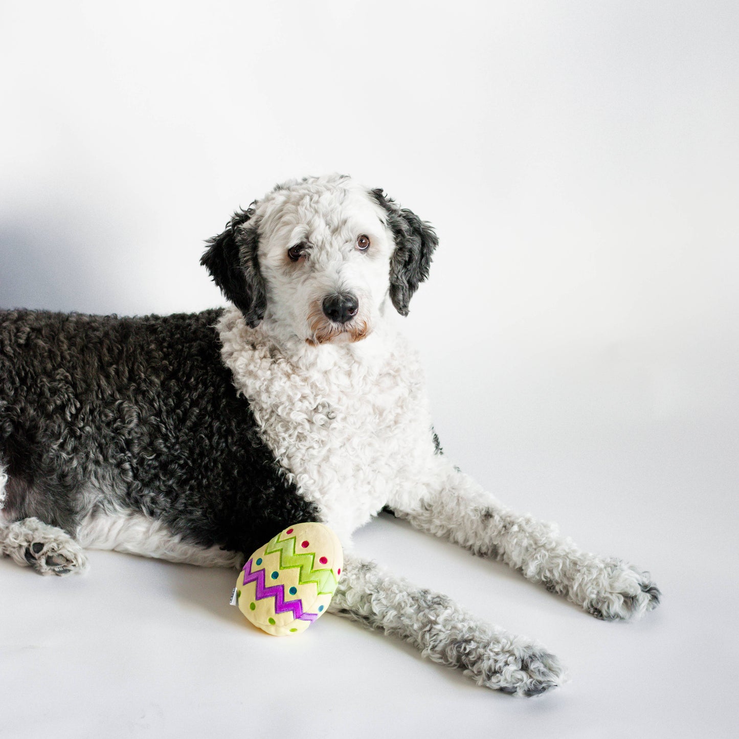 Midlee Plush Easter Egg Dog Toy with Squeaker