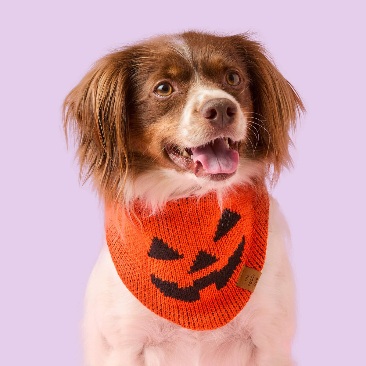 Jack-o-Lantern Bandana