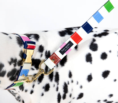 Kate Spade Large Dog Leash, Adventure Stripe