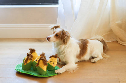 Injoya Corn Maze Snuffle Toy
