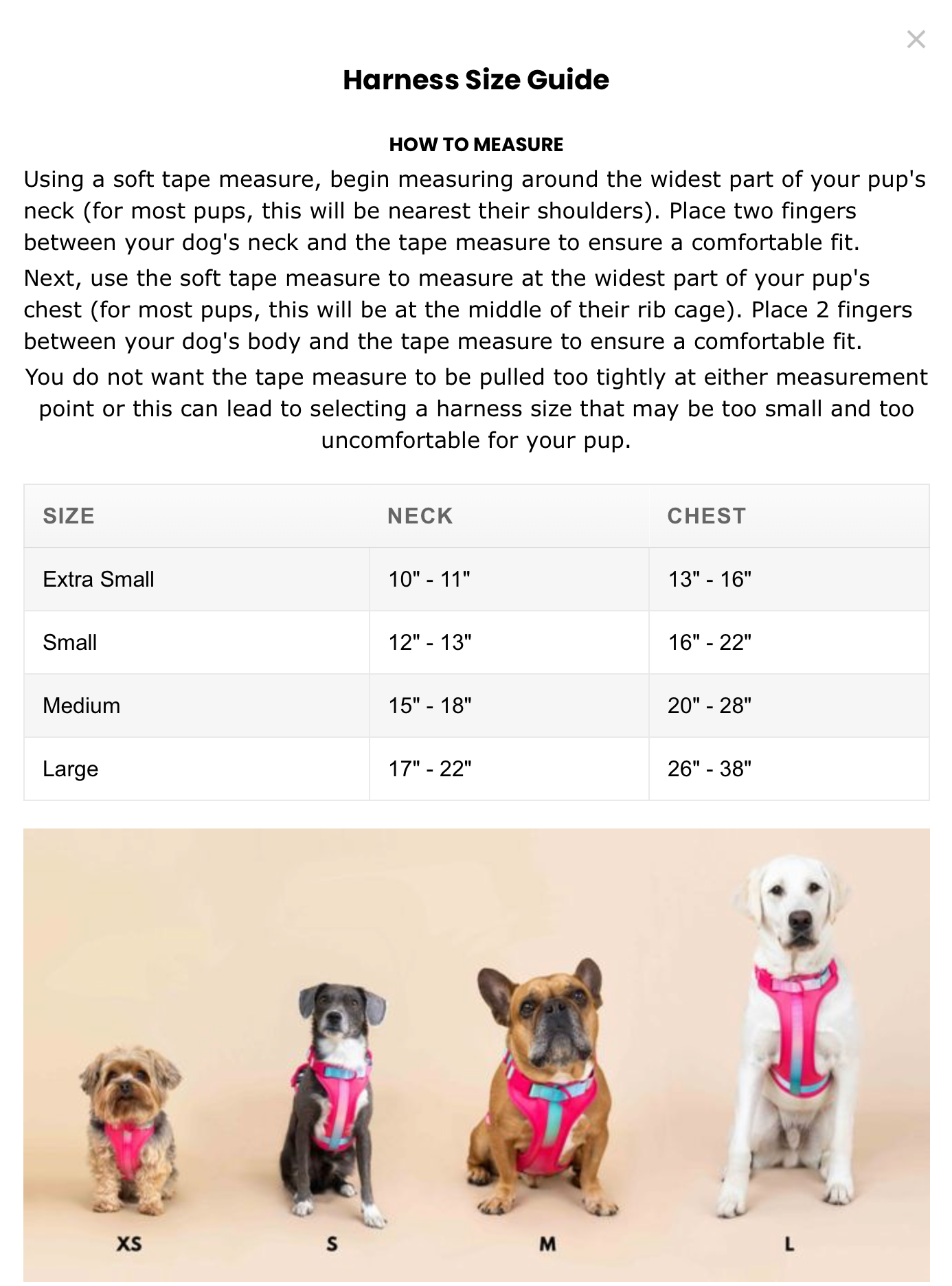 Atlas Dog Harness | Blue