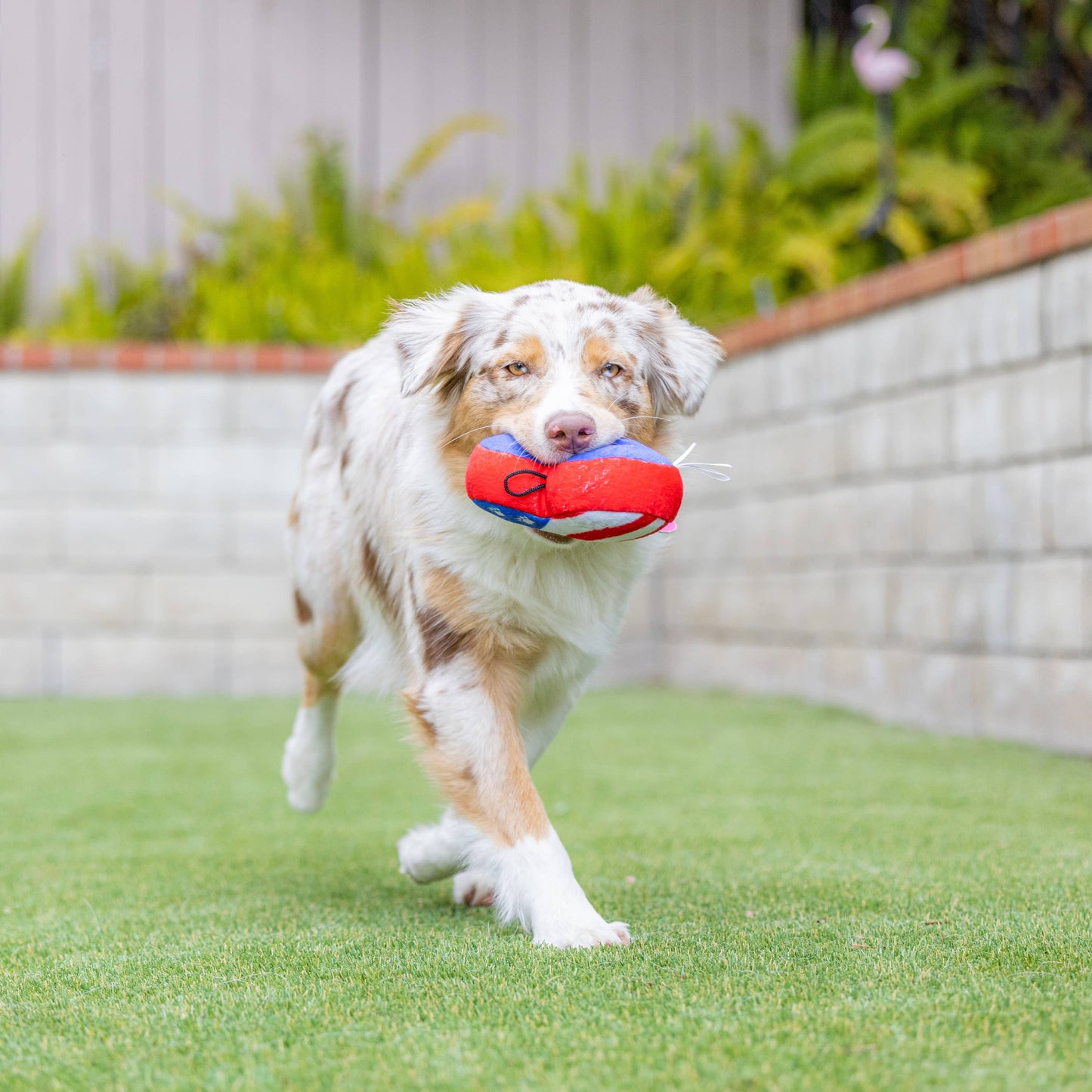 Paws & Stripes Heart Dog Toy