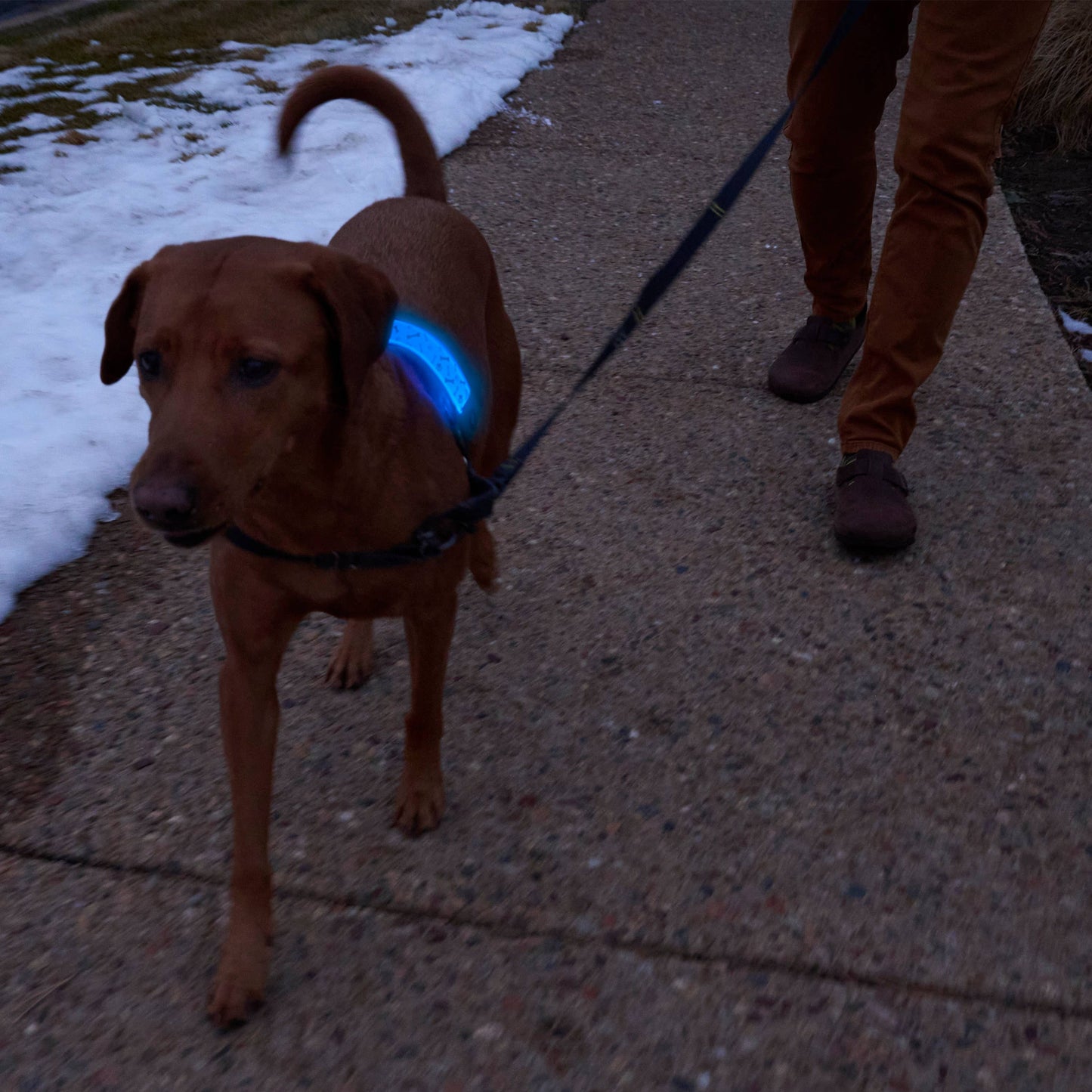 Nite Ize Rechargeable LED Collar Cover