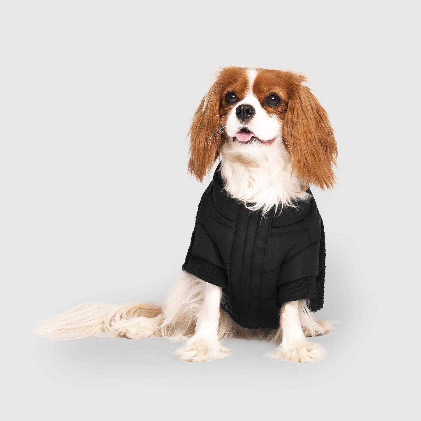Cool Factor Puffer Jacket- Dog coat