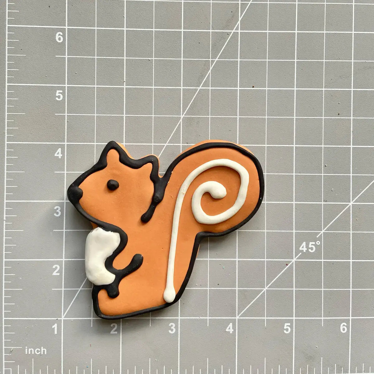 Squirrel 