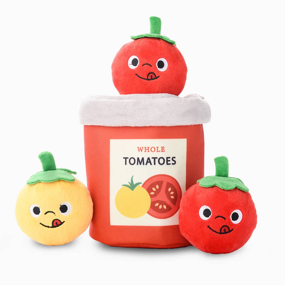 HugSmart Tomato Can - Interactive Toy