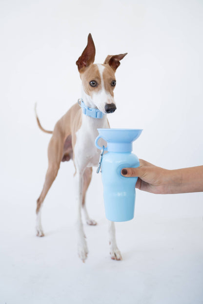 Dog Travel Water Bottle 22oz Classic (Mixed 12 Pack)