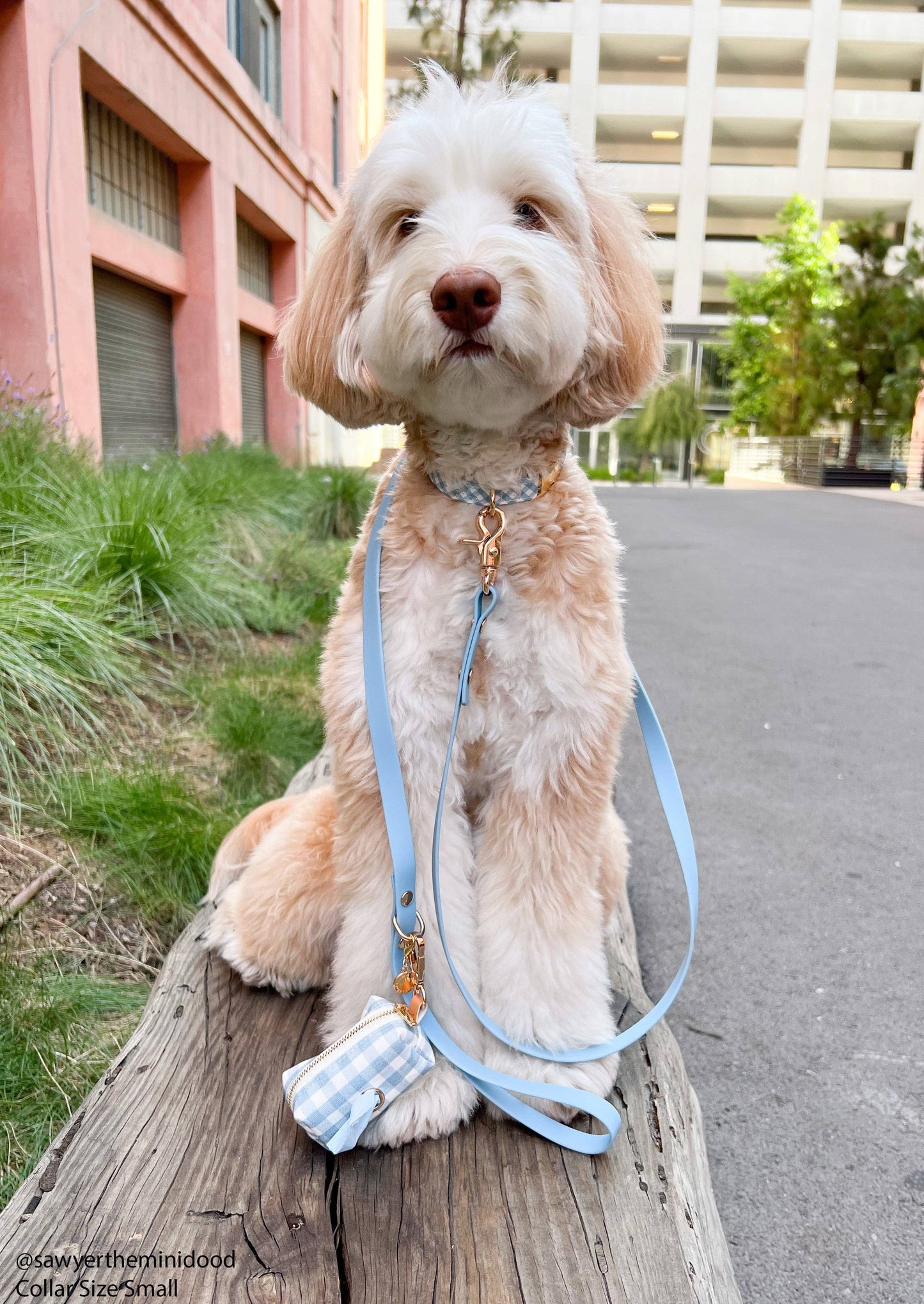 Dog Leash Waterproof - Malibu Blue | 4 ft, 5 ft, 6 ft