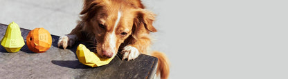 Super Banana | Dog Toy
