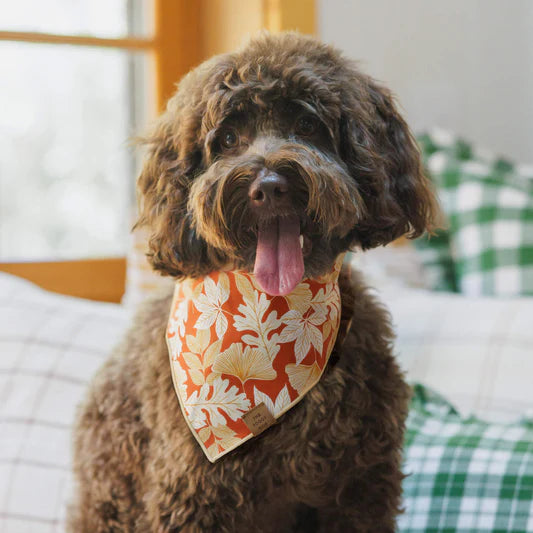 The Foggy Dog Bandana
