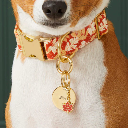 The Foggy Dog Collar Charm