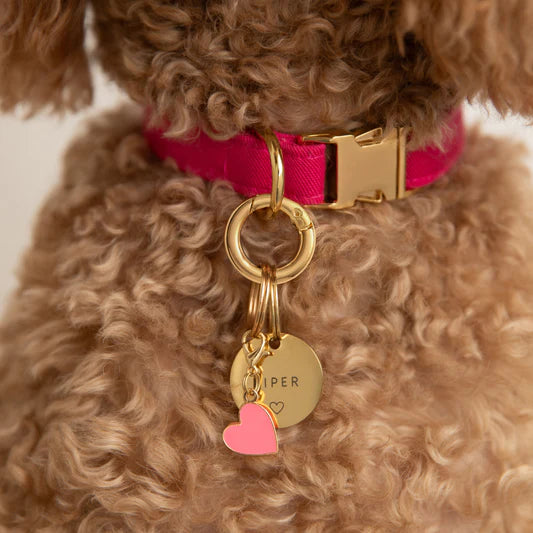 The Foggy Dog Collar Charm