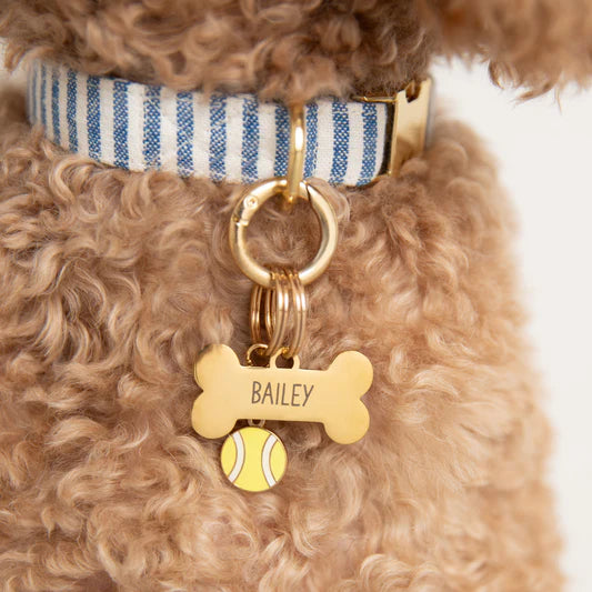 The Foggy Dog Collar Charm