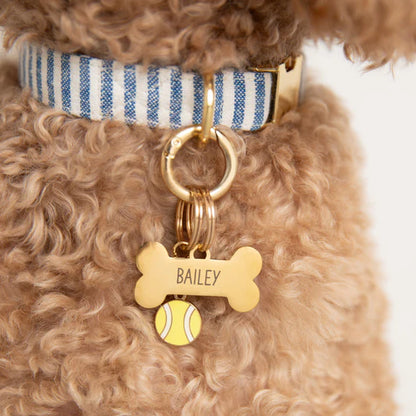 The Foggy Dog Collar Charm