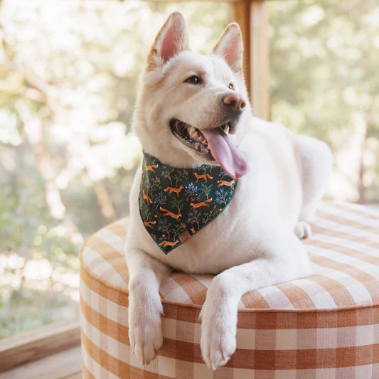 The Foggy Dog Bandana