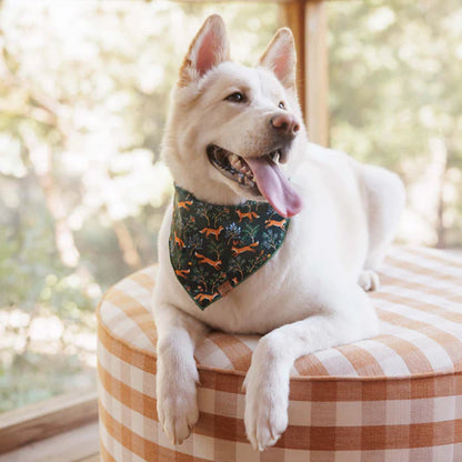 The Foggy Dog Bandana