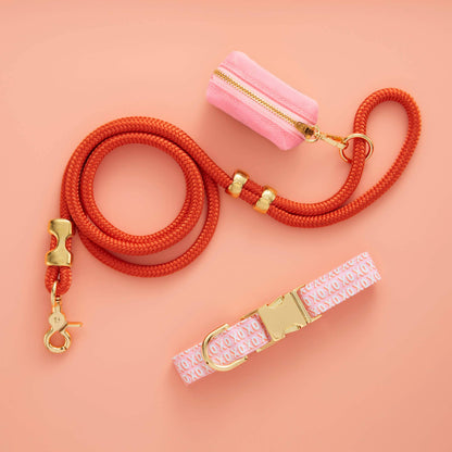 Cider Rope Leash