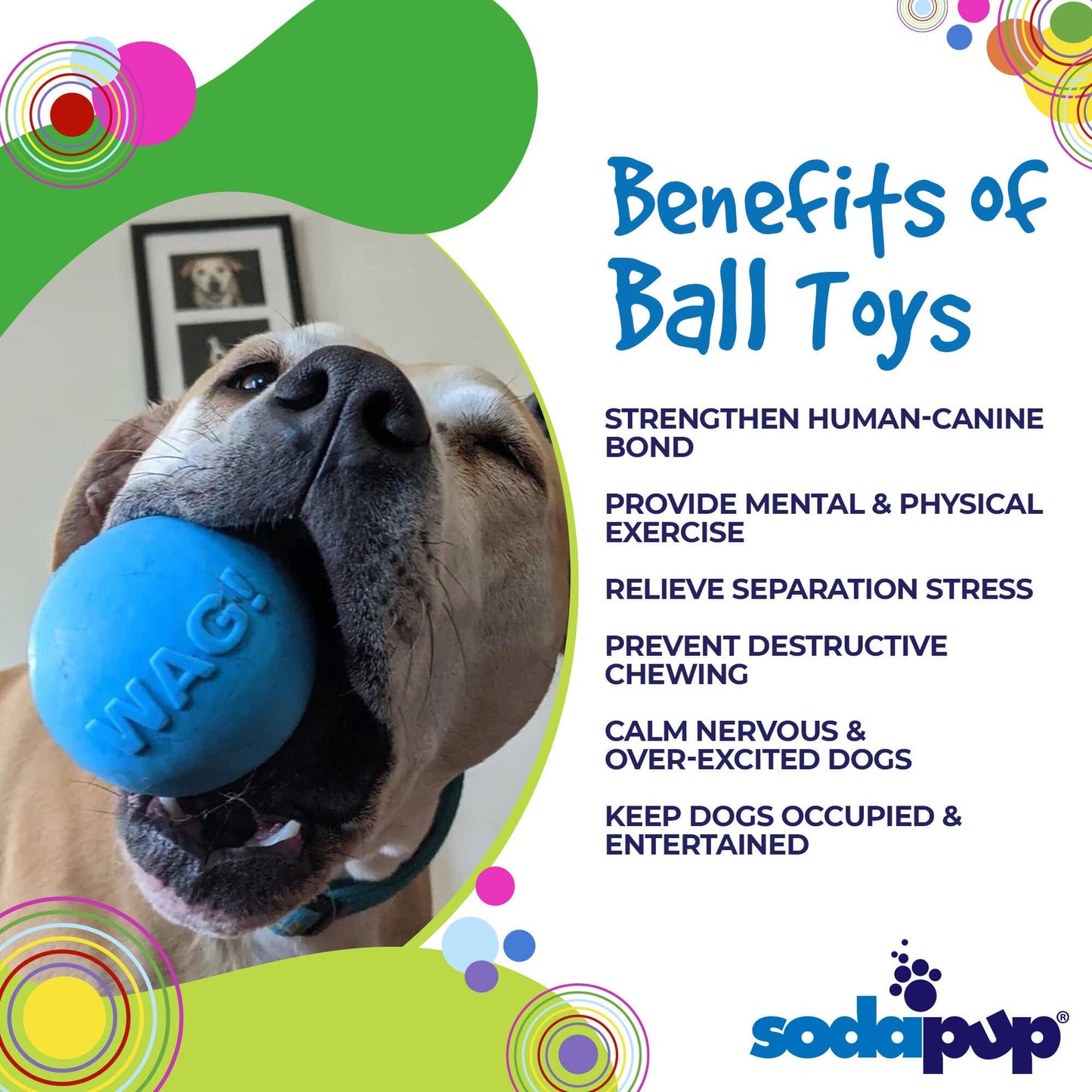 Wag Ball Durable Rubber Chew & Retrieving Toy