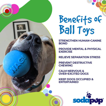 Wag Ball Durable Rubber Chew & Retrieving Toy