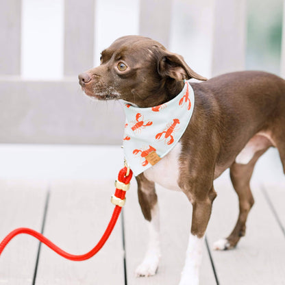 Foggy Dog Ruby Marine Rope Leash