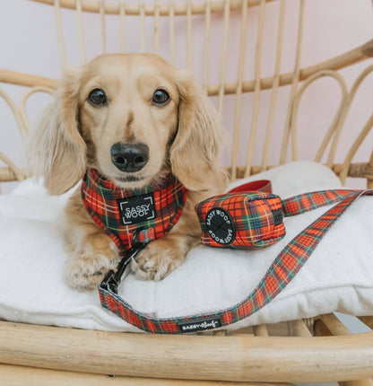 Dog Adjustable Harness - Deck the Paws