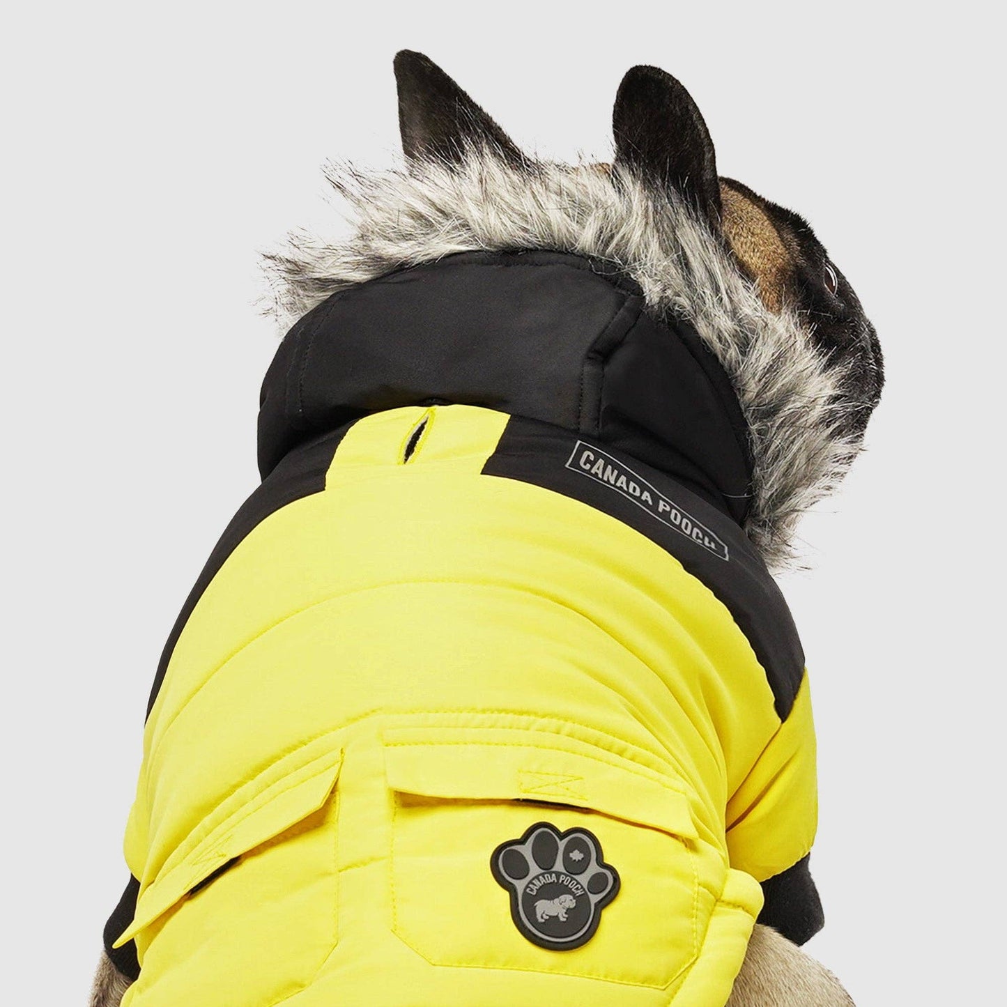 True North Dog Parka