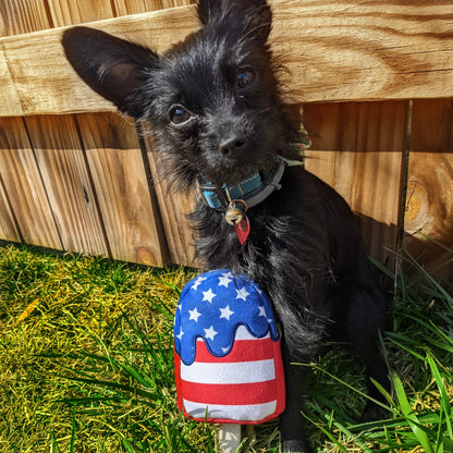 Star Pop Dog Toy