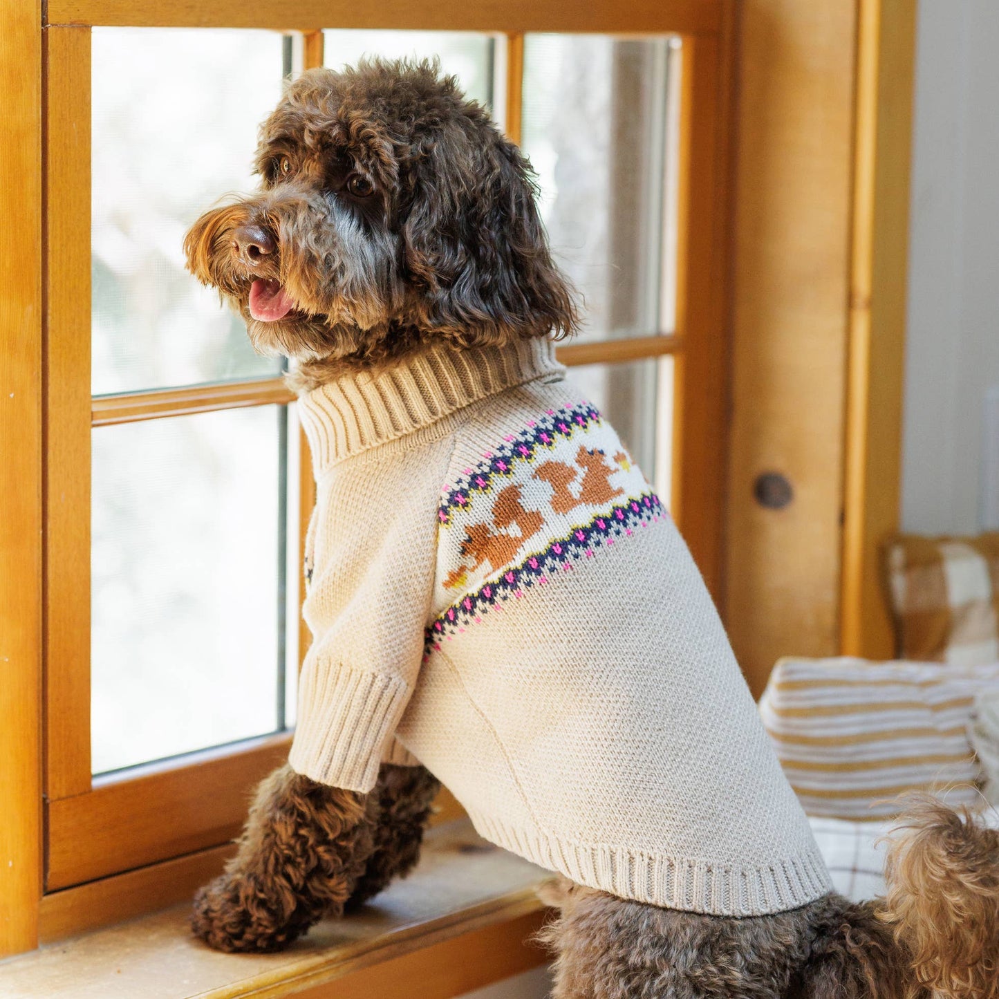 Foggy Dog Squirrel Sweater