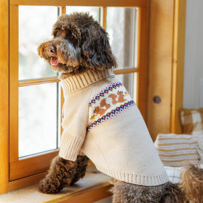 Foggy Dog Squirrel Sweater