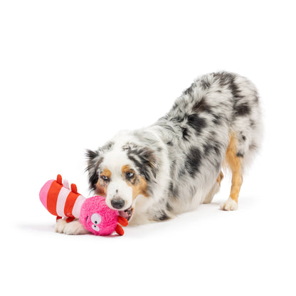 Fetchies® Love Bug Dog Toy