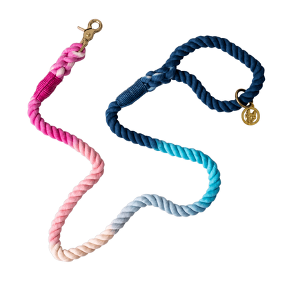 Maddox Rope Dog Leash | Pink Blue