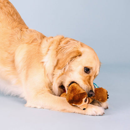 Makin Waves Plush Dog Toy