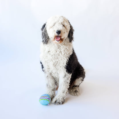 Midlee Plush Easter Egg Dog Toy - Blue