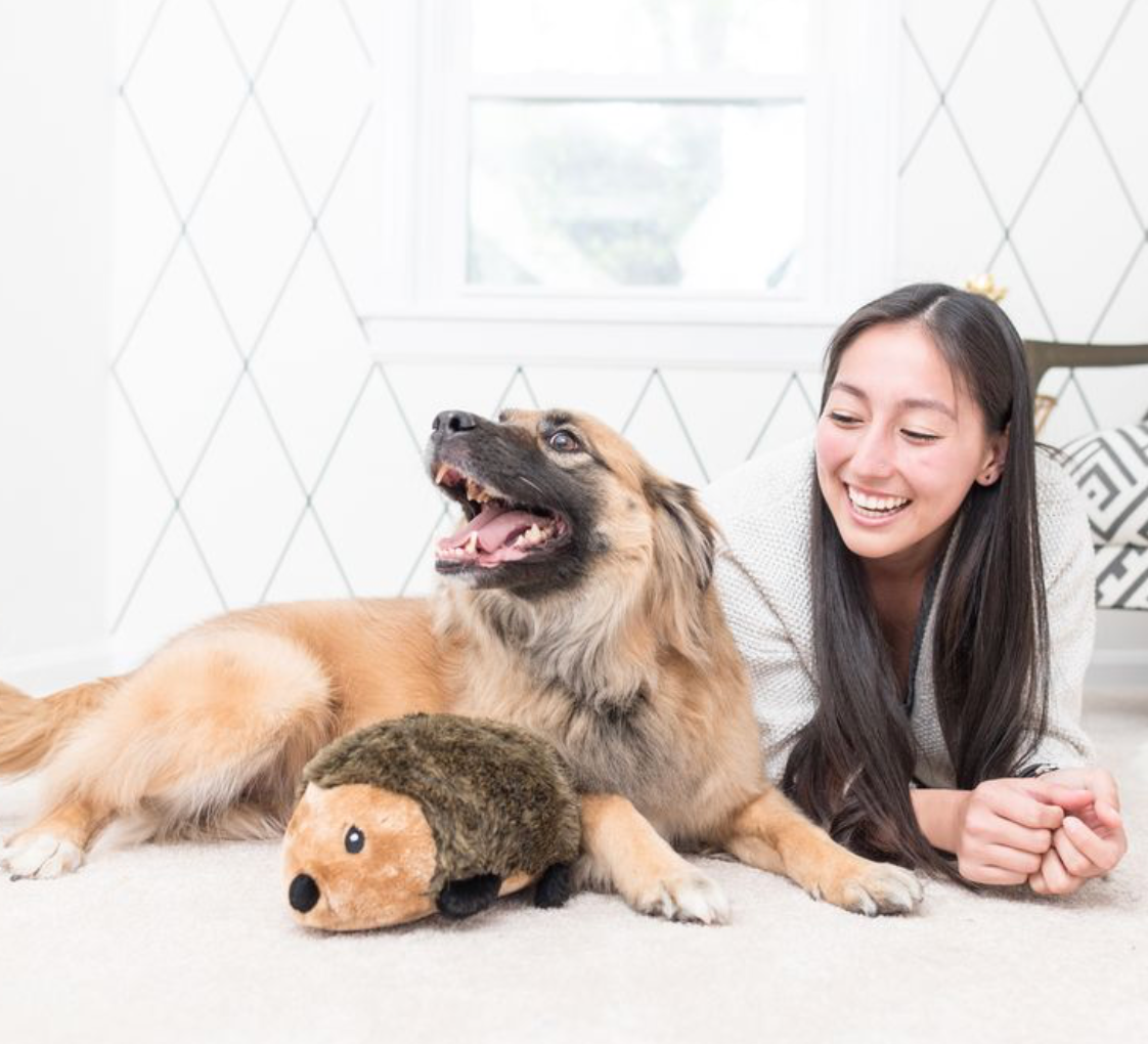 Hedgehog - Large - Dog Toy