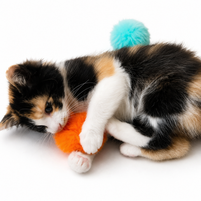 Puffy Poof Cat Toy