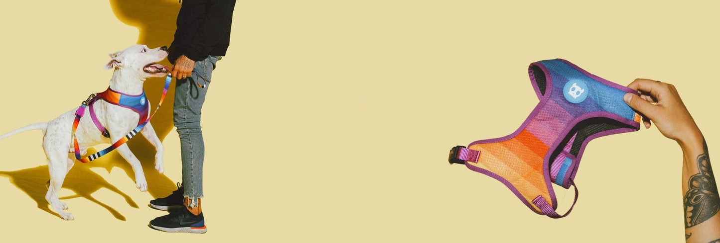 Prisma | Leash