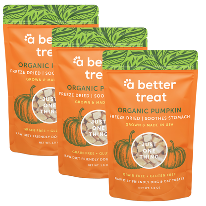 Organic Freeze Dried Pumpkin Dog and Cat Treats