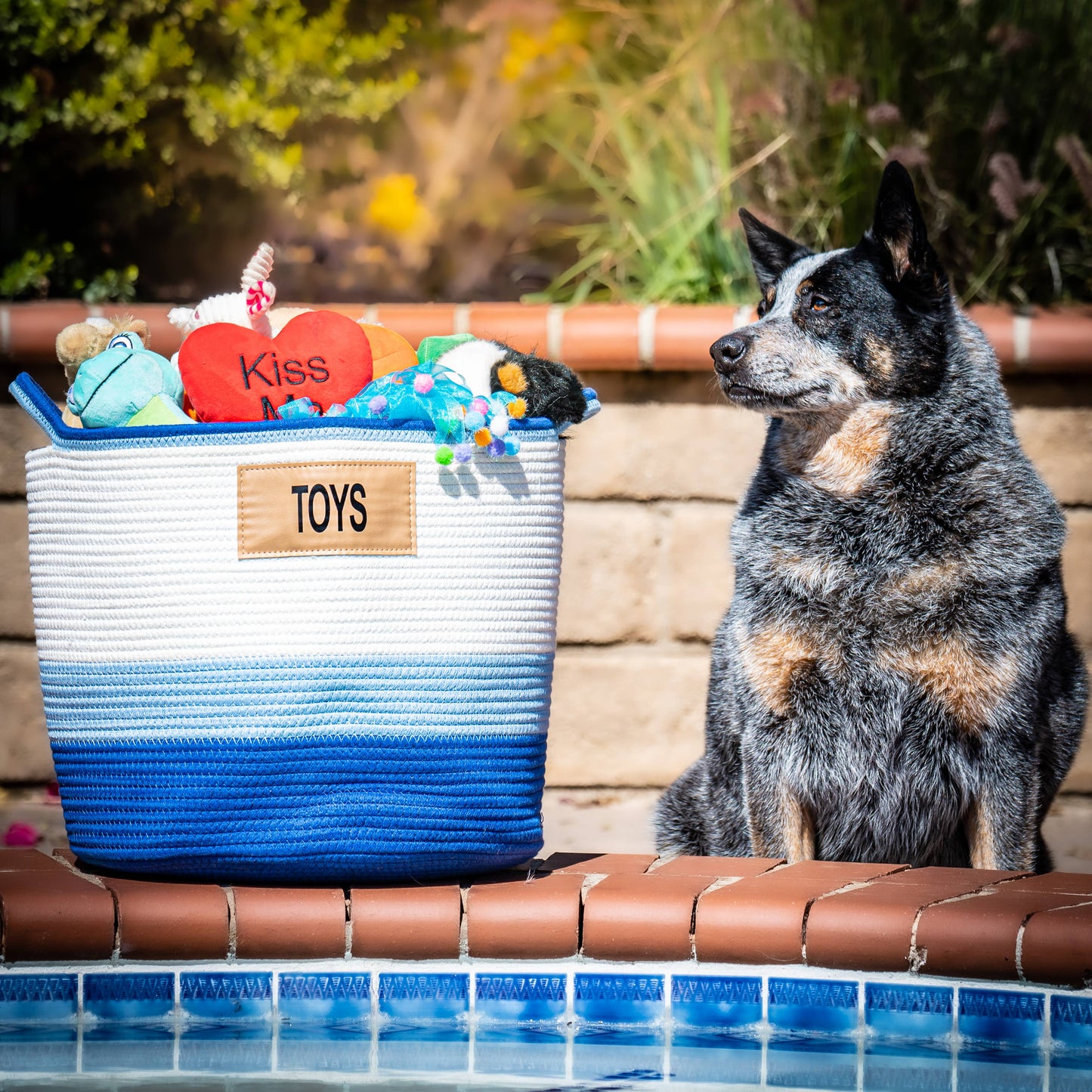 Midlee Blue 3 Tone Toys Basket