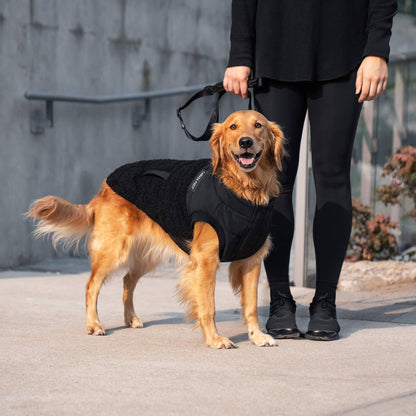 Cool Factor Puffer Jacket- Dog coat