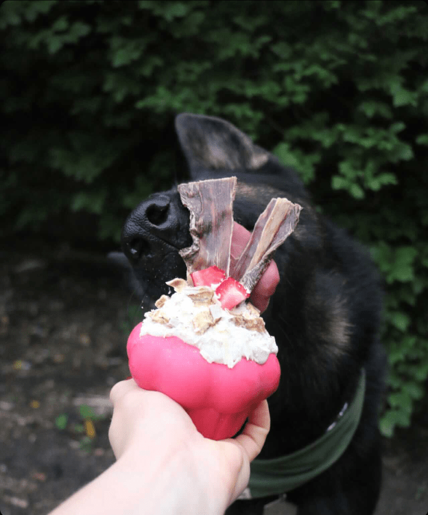 Cupcake Rubber Chew Toy & Treat Dispenser - Pink