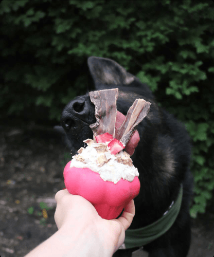 Cupcake Rubber Chew Toy & Treat Dispenser - Pink