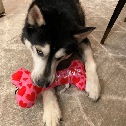 My Puppy Love Bone Dog Toy