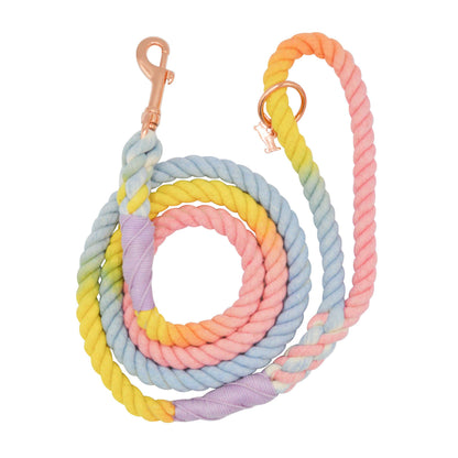 Dog Rope Leash - Fiesta