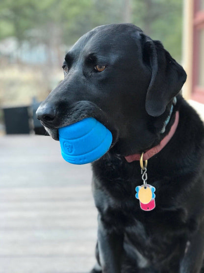 Space Capsule eDispenser: Ultra-Durable Chew & Enrichment Feeder