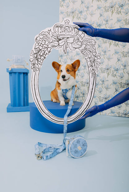 Bridgerton x maxbone Dog Walk Set